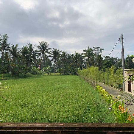 Adi Laxmi Villa Ubud Luaran gambar