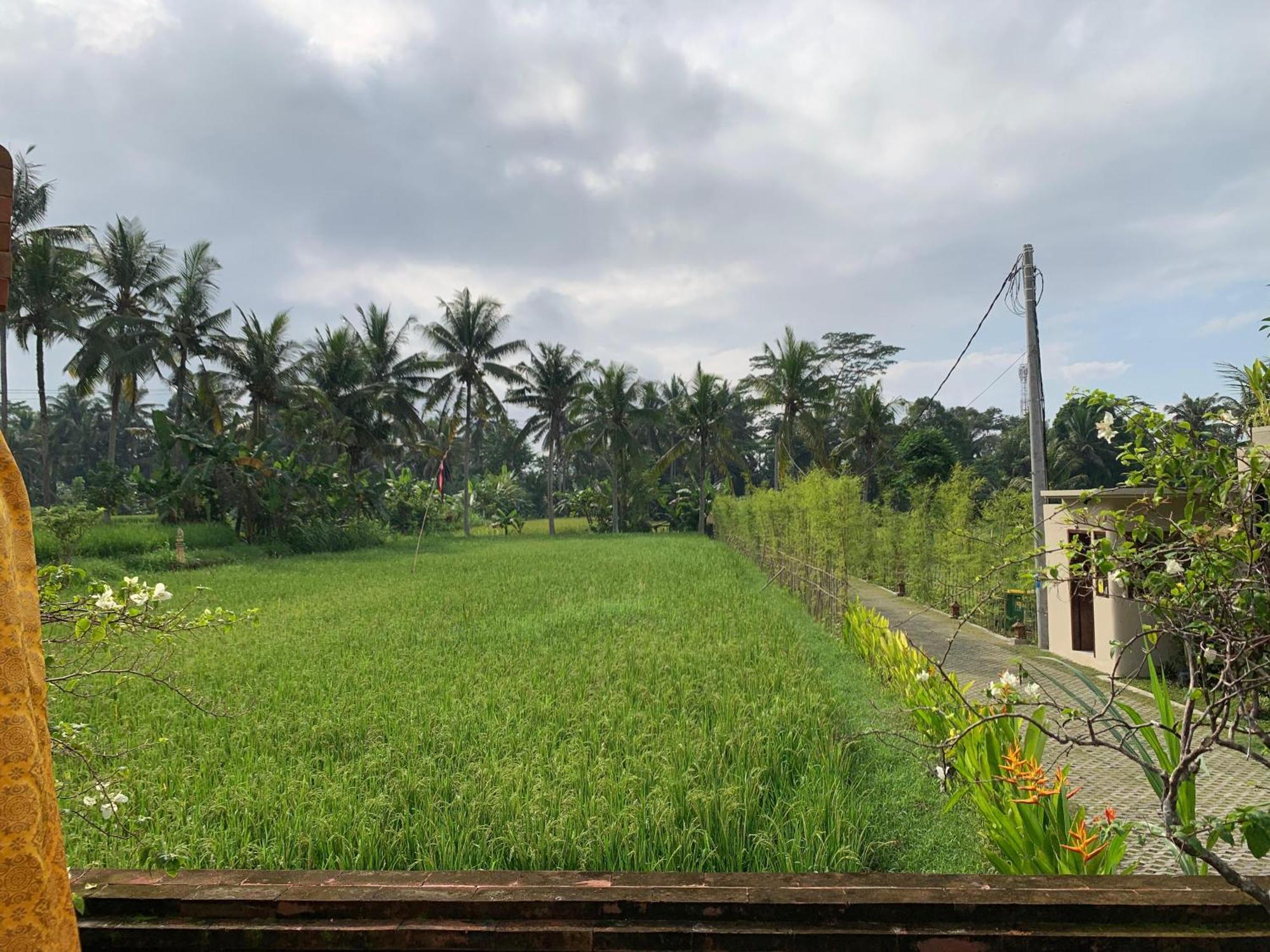 Adi Laxmi Villa Ubud Luaran gambar