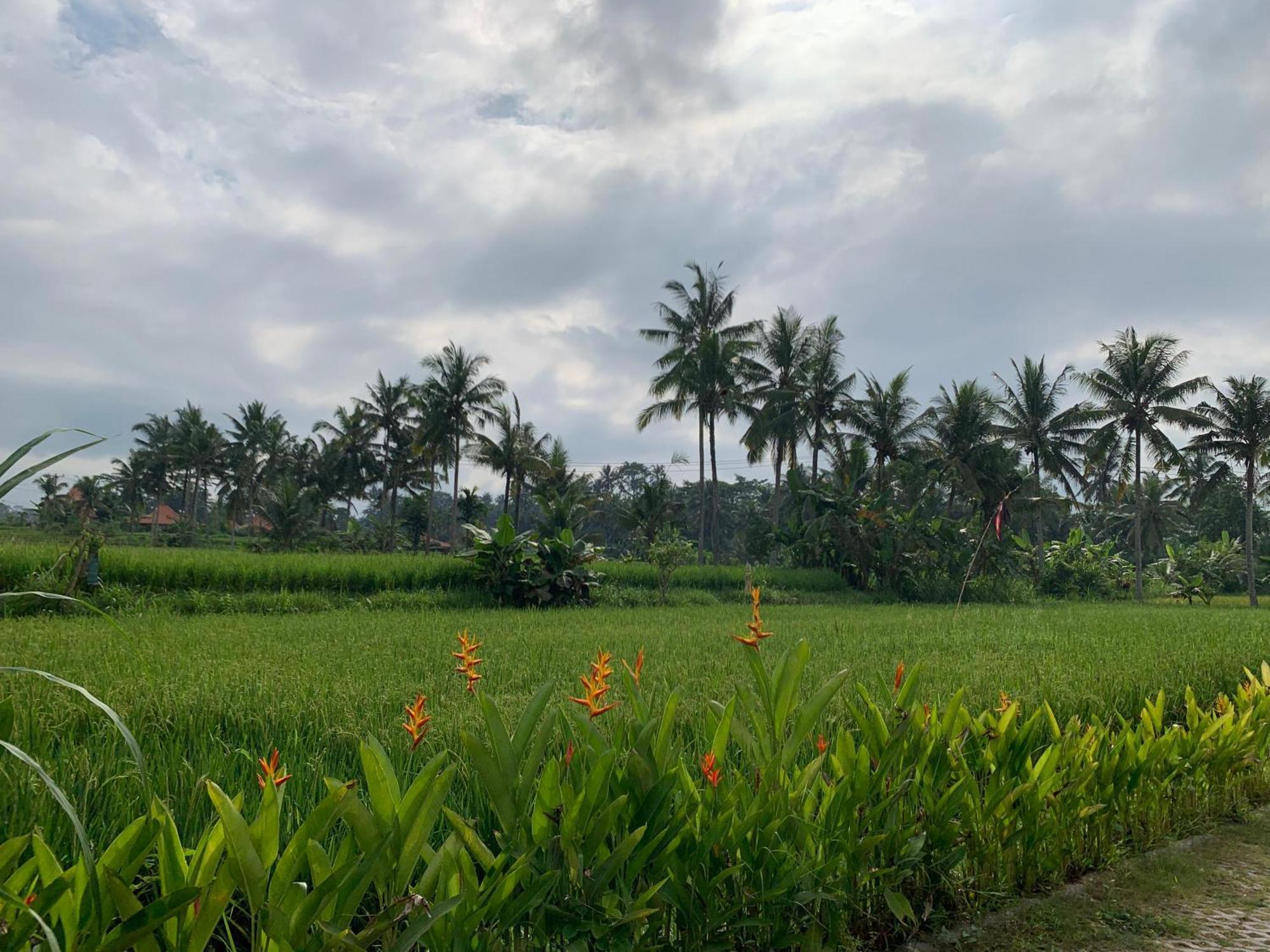 Adi Laxmi Villa Ubud Luaran gambar